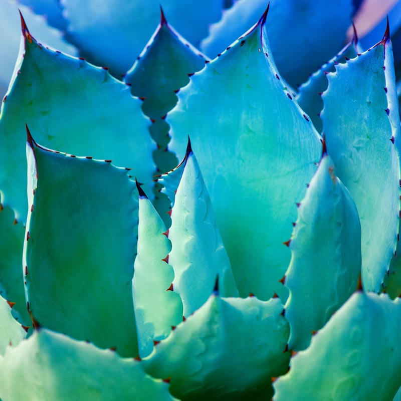 Copper Eye Surgery, Phoenix, AZ Copper Eye Surgery, Phoenix, AZ